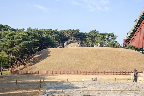 Royal Tombs of the Joseon Dynasty – Oasis in the City and Motif for “Collectors”