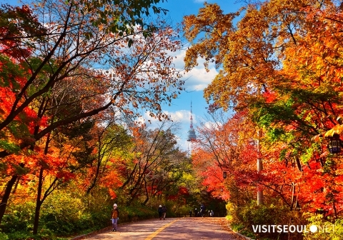 Autumn Trail, Namsan Southern Walking Path