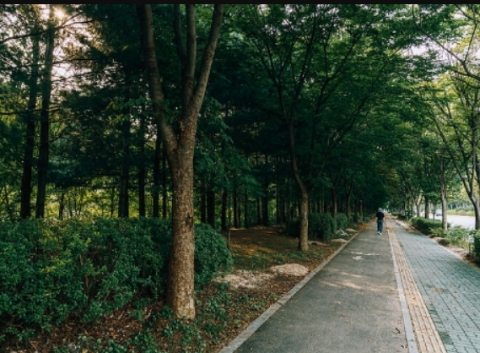 Fall Foliage Road (World Cup-ro)