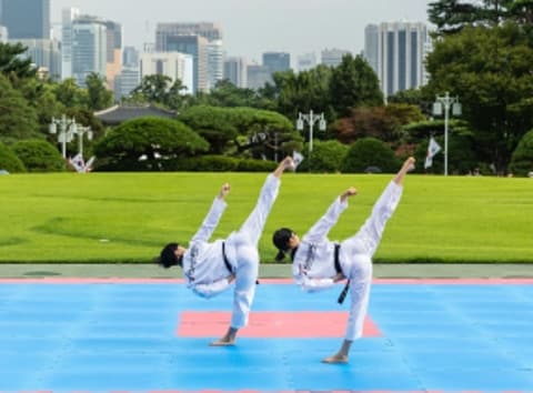 Traveling Seoul with Taekwondo, Korea’s Gift to the World