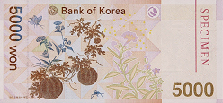 5,000 won Back